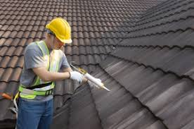 Best Roof Inspection  in Prceton, IN